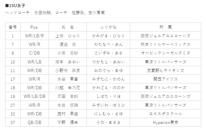 bbb8f49a026c53a62c418c3c4da13656-1718091753.png